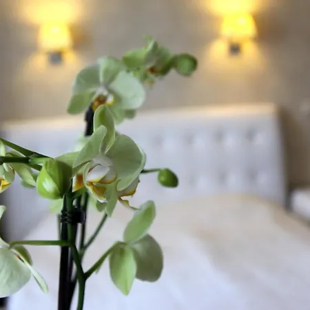 Felicia Otel 3*